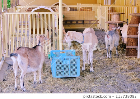 帶廣動物園 櫻桃農場風景 帶廣動物園 櫻桃農場風景 115739082