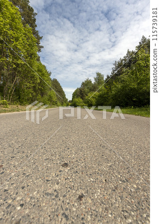 a country road of good quality in spring in a deciduous forest a country road of good quality in spring in a deciduous forest 115739181