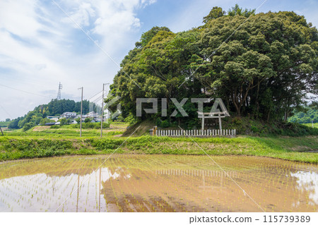 稻田和小神社（大分縣豐後大野市） 115739389