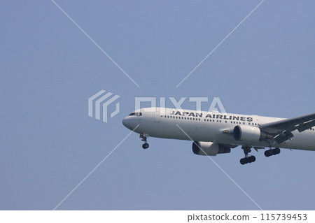 Airliner taking off and rising Airliner taking off and rising 115739453