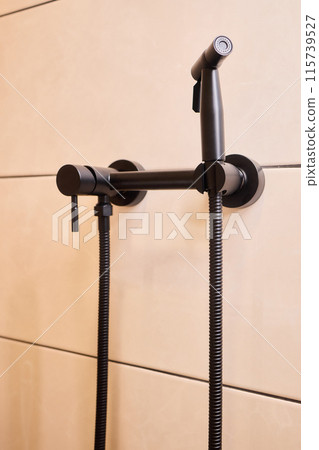 Hygienic shower. Substitute of toilet paper. Intimate hygiene. Hygienic shower. Substitute of toilet paper. Intimate hygiene. 115739527