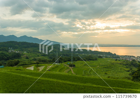 梯田的早晨(大分縣別府市) 梯田的早晨(大分縣別府市) 115739670