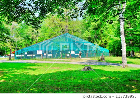 Obihiro Zoo - View of the Eagle and Hawk House 115739953