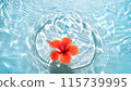 芙蓉花漂浮在夏日色彩的泳池中 115739995