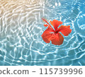 芙蓉花漂浮在夏日色彩的泳池中 115739996