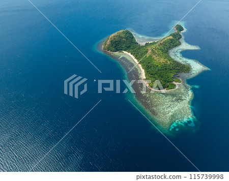 Coastline with beach and turquoise water. Dimanglet Island in Coron, Palawan. Philippines. 115739998