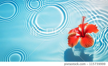芙蓉花漂浮在夏日色彩的泳池中 115739999