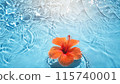 芙蓉花漂浮在夏日色彩的泳池中 115740001