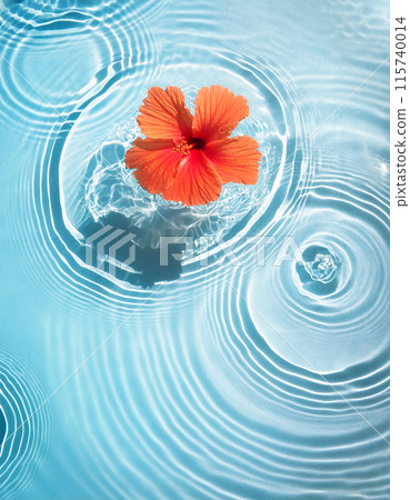芙蓉花漂浮在夏日色彩的泳池中 115740014