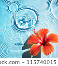 芙蓉花漂浮在夏日色彩的泳池中 115740015