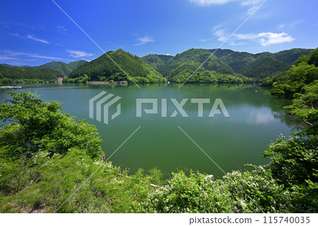從湖畔道路看到的銀山湖(兵庫縣朝來市生野町) 從湖畔道路看到的銀山湖(兵庫縣朝來市生野町) 115740035