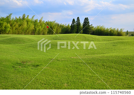 無人，崎嶇的高爾夫球場，初夏的景色 115740560