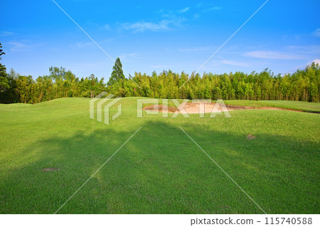 無人，崎嶇的高爾夫球場，初夏的景色 115740588