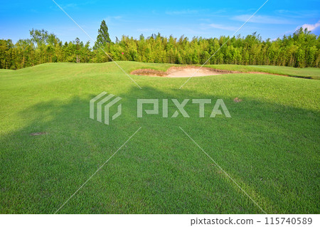 Deserted, hilly golf course, early summer scenery 115740589