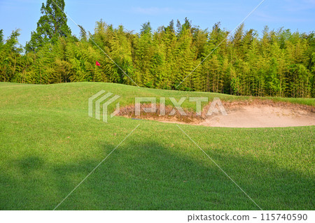 無人，崎嶇的高爾夫球場，初夏的景色 115740590