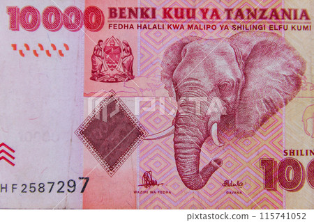 Macro shot of the ten thousand tanzanian shillings banknote Macro shot of the ten thousand tanzanian shillings banknote 115741052