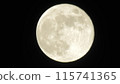 Mr. Moon 115741365