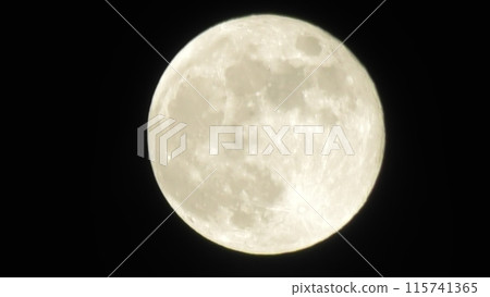 Mr. Moon Mr. Moon 115741365
