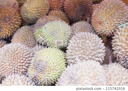 delicious fresh durian fruit as a background delicious fresh durian fruit as a background 115742016