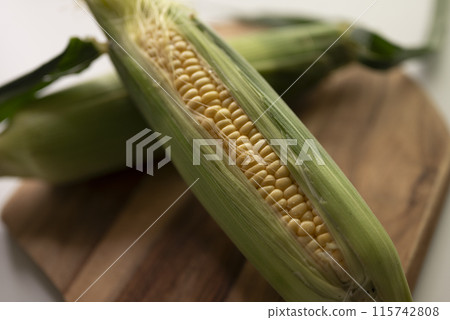 Freshly picked corn 115742808