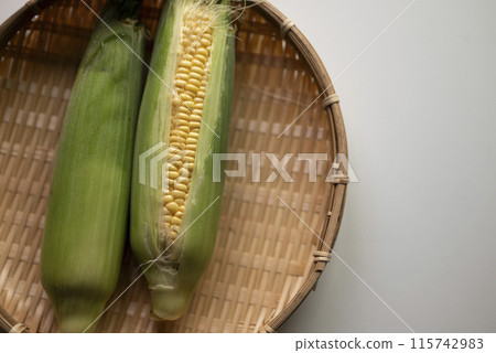 早玉米 早玉米 115742983