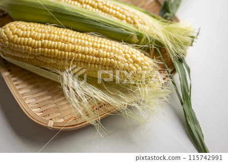 早玉米 早玉米 115742991