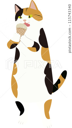 Calico cat with ice cream 115743340