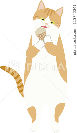 Brown and white cat holding ice cream 115743341