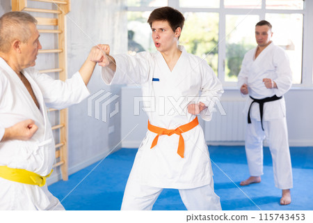 Elderly and young men training karate fight Elderly and young men training karate fight 115743453