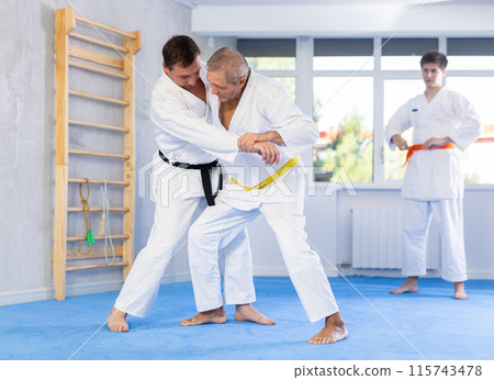 Mature judo fighters honing techniques during training bout in dojo 115743478
