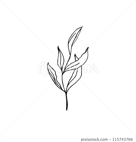 Floral doodle elements hand drawn for logo or tatoo 115743766