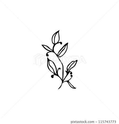 Floral doodle elements hand drawn for logo or tatoo 115743773