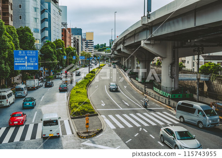 Traffic in the city center and the Metropolitan Expressway Mejiro Street 2024.06 Film-like 115743955