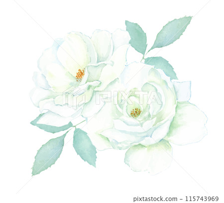 水彩畫白花的插圖 115743969