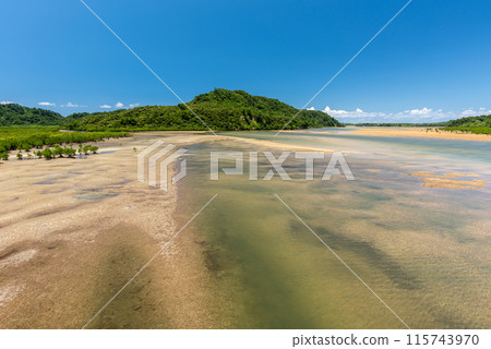 Urauchi river at low tide, Iriomote island, Okinawa. 115743970