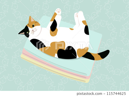 Cat folding laundry, calico cat 115744625