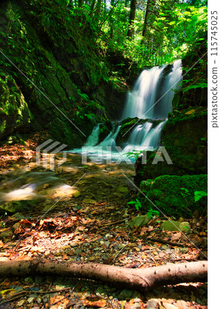 本宮的瀑布（八王子城遺址） 115745025