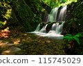 Waterfall of the main shrine (Hachioji castle ruins) 115745029