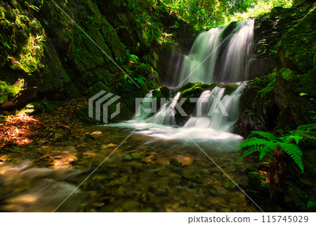 Waterfall of the main shrine (Hachioji castle ruins) 115745029