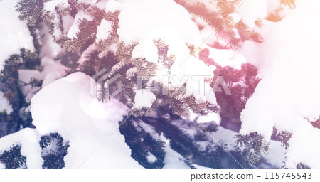 Spot of light over snow covered trees on winter landscape 115745543