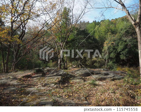 A mountain path with dead leaves that feels like autumn A mountain path with dead leaves that feels like autumn 115745558