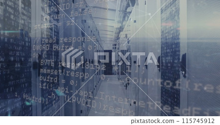 Image of data processing over servers 115745912