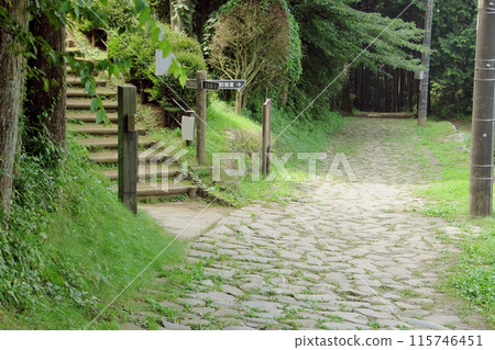 箱根舊路石板路/神奈川縣 115746451