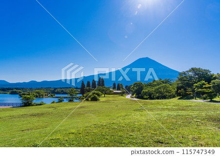 [Shizuoka Prefecture] Looking up at Mt. Fuji at Lake Tanuki Campsite in early summer 115747349