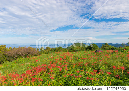 Hachimakiyama Observatory (Omura City, Nagasaki Prefecture) 115747960