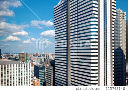 Skyscrapers above the cityscape of Shinjuku, Tokyo 115748148
