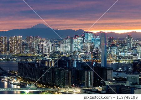 Odaiba and Tokyo Bay, Tokyo 115748199