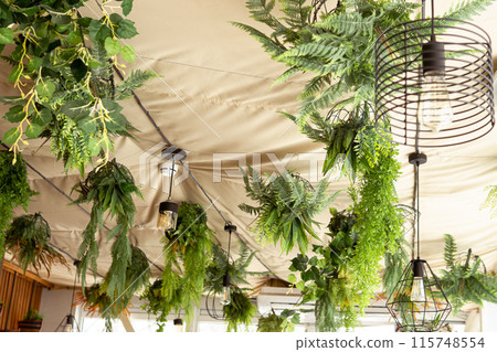 Cafe interior with elements of biophilic design. The ceiling is decorated with hanging indoor plants. The concept of biophilia Cafe interior with elements of biophilic design. The ceiling is decorated with hanging indoor plants. The concept of biophilia 115748554