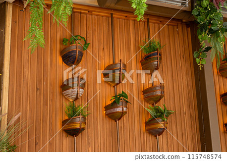 Cafe interior with elements of biophilic design. The concept of biophilia 115748574