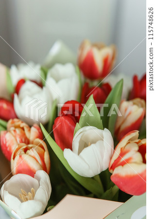 Celebration of Beauty: Tulips in Close-up as a Gift for March 8th 115748626